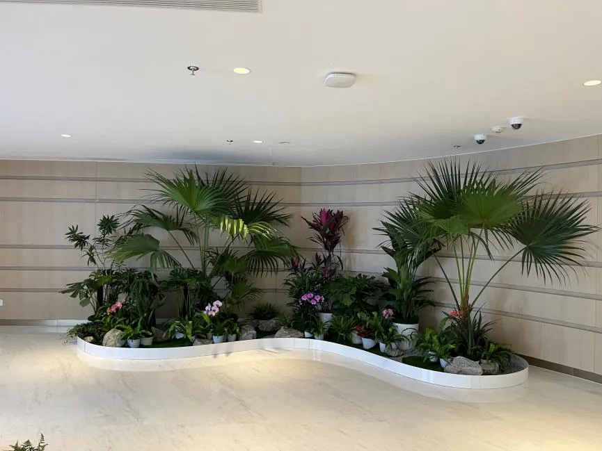 “杭州湾盆景租摆公司，满足您绿植租赁需求！验